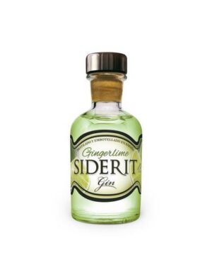 Ginebra Gin Gingerlime 5cl